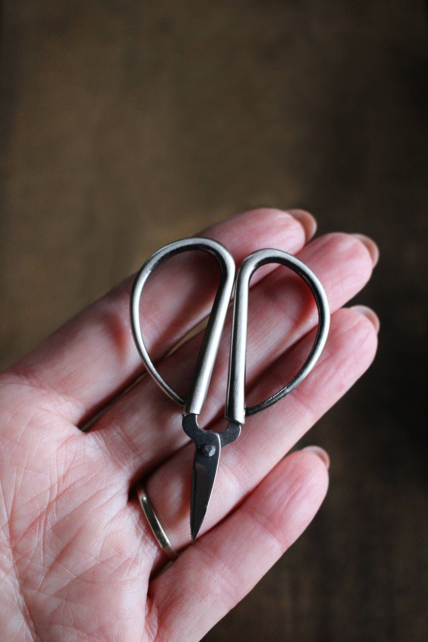 Mini Bonsai Scissors