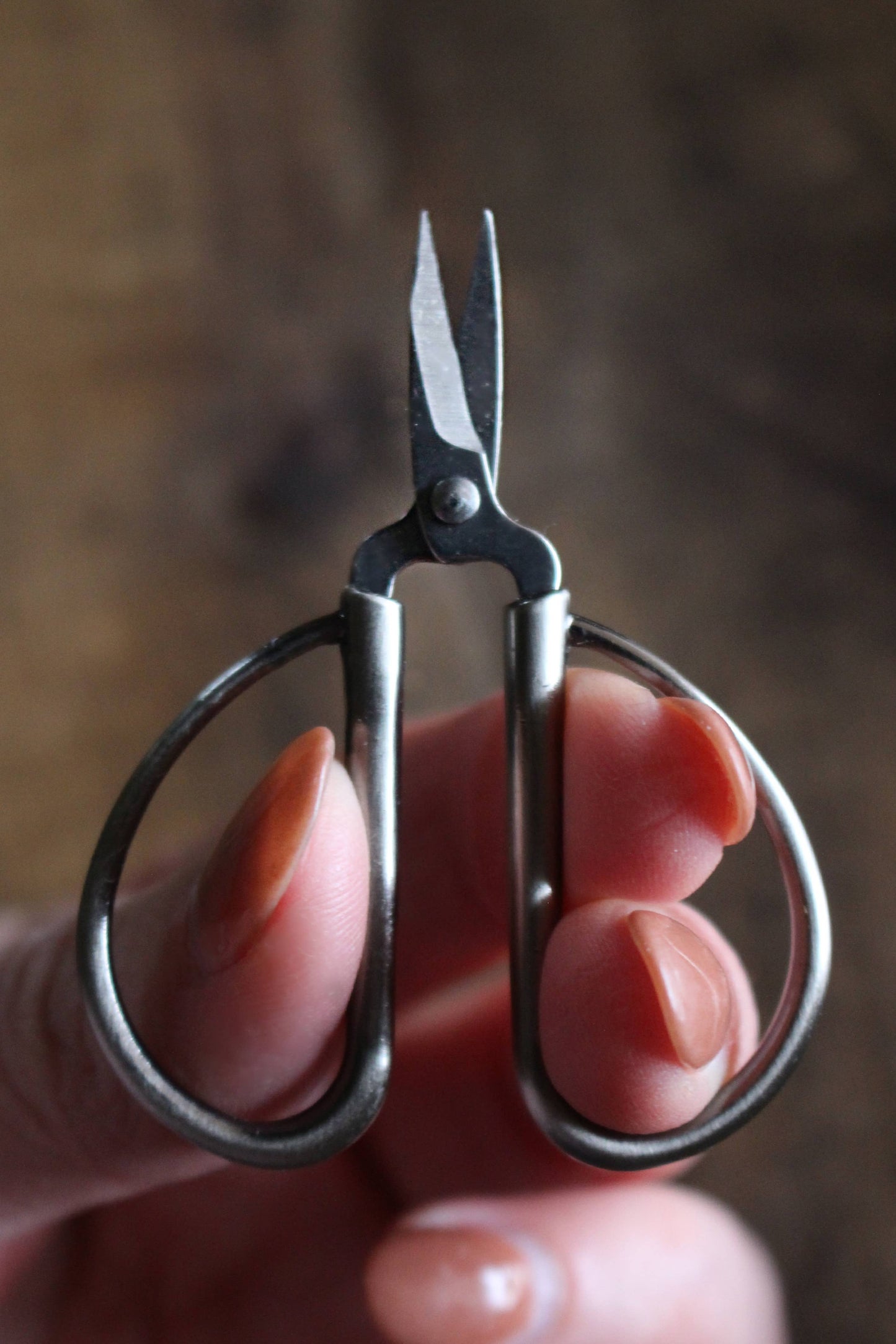 Mini Bonsai Scissors