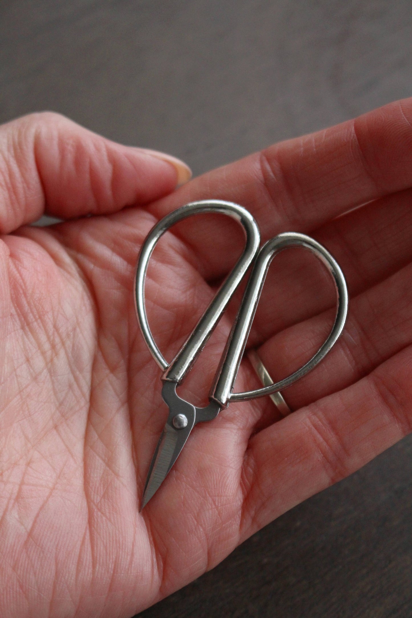 Mini Bonsai Scissors