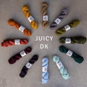 The Farmer's Daughter Fibers - Juicy DK