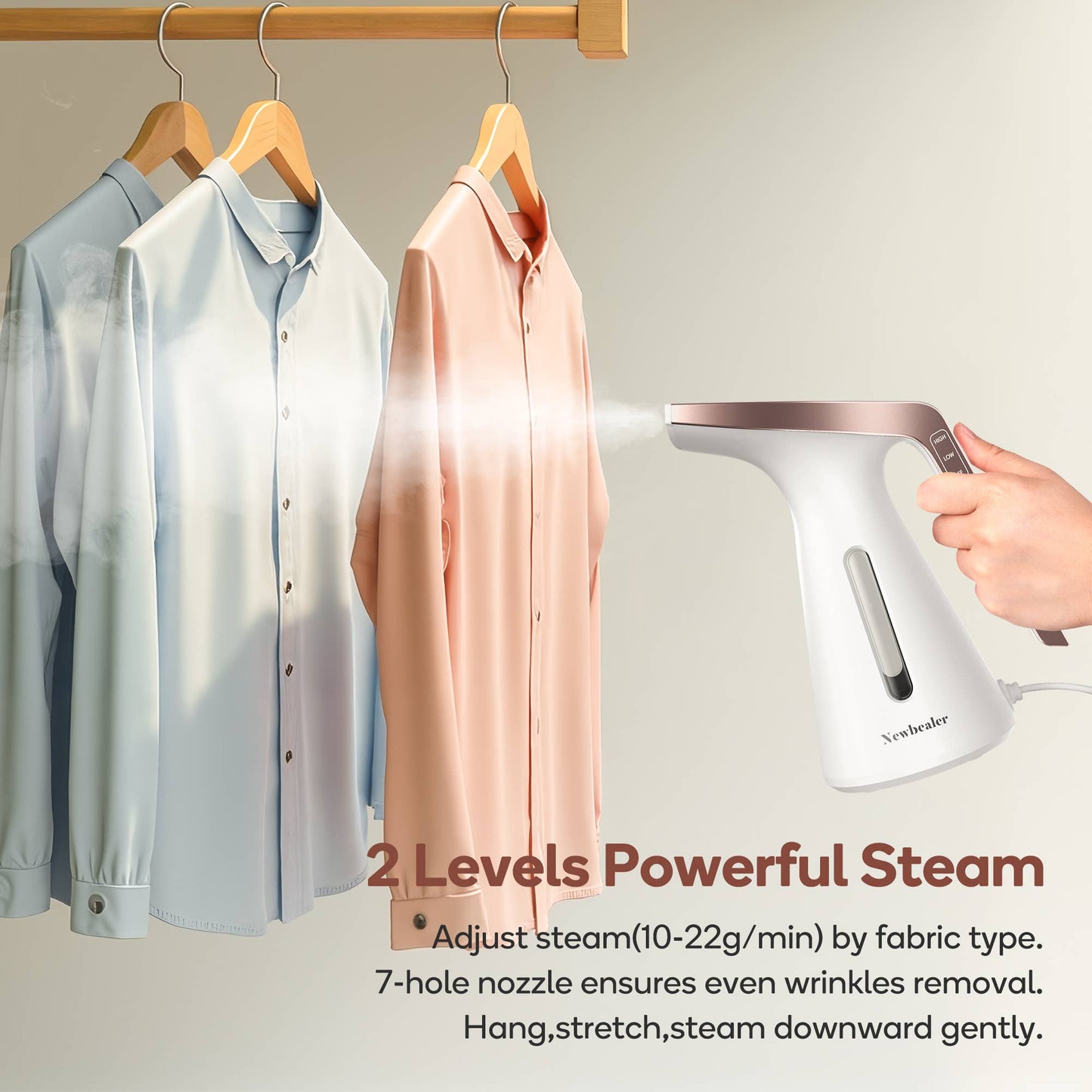 Handheld Steamer